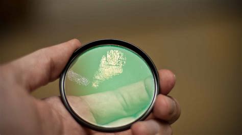 same fingerprints odds|Our fingerprints may not be unique, claims AI .